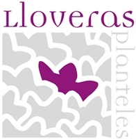 Logo Planteles Lloveras
